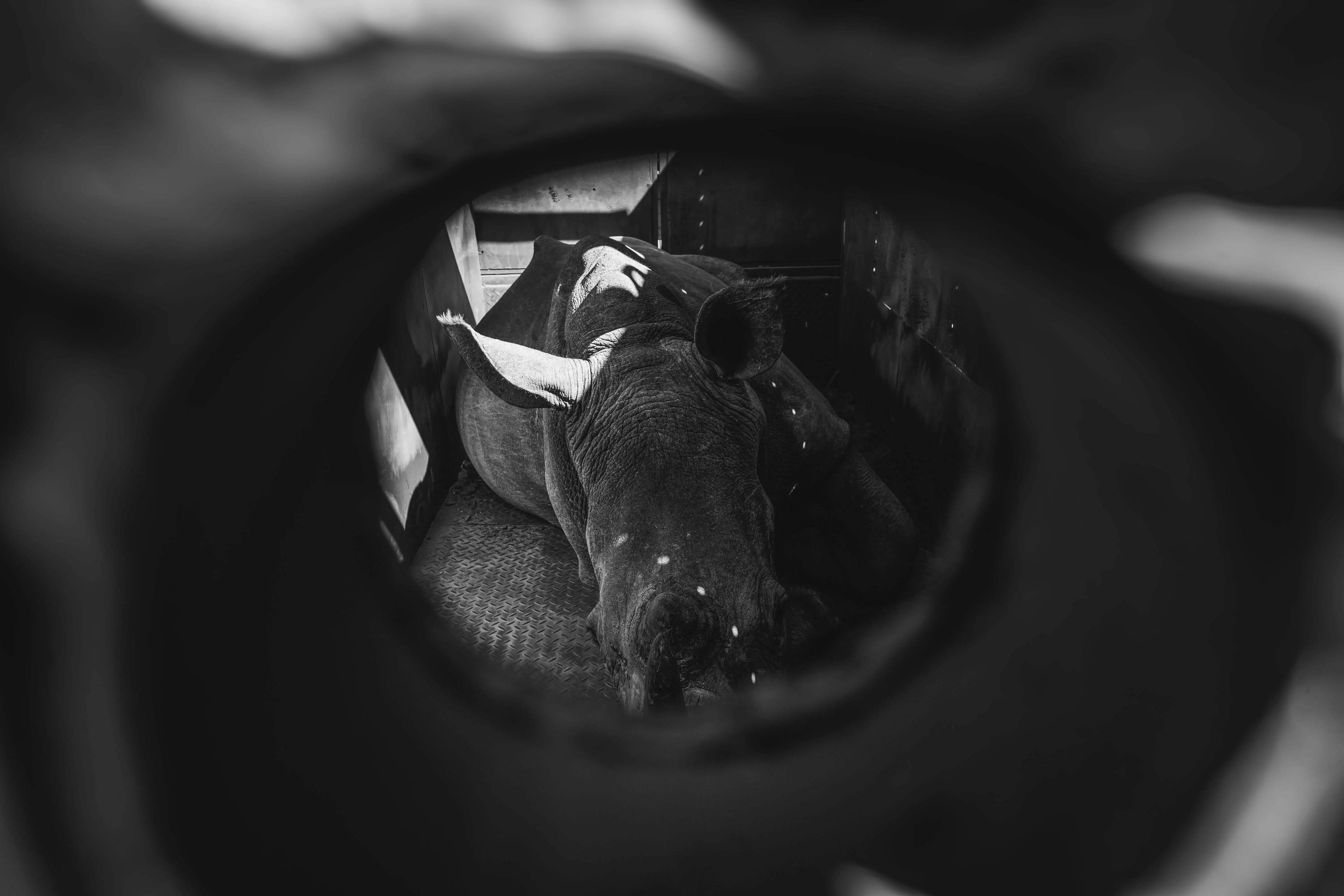 Martin De Kock Observation - Presence 3